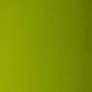 Stanford Apple Green