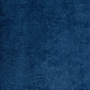 Astor Navy