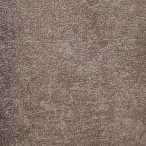 Astor Steel