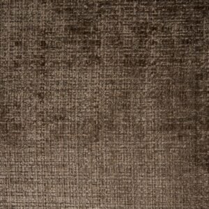 Elysium Brown