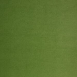 Eco Lounge Green